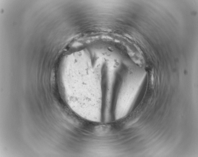 X0000088650700200706152008