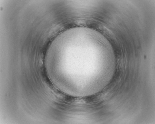 X0000088650702200706152008