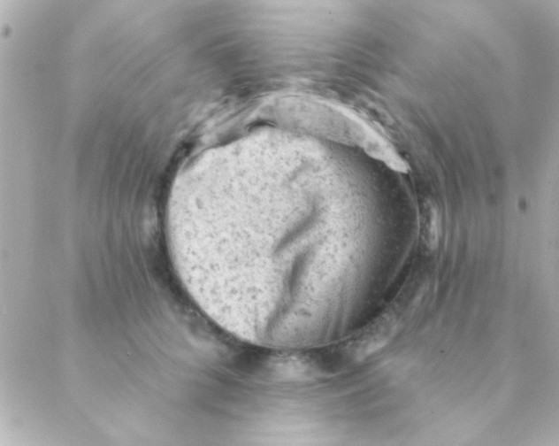 X0000088650704200706152008