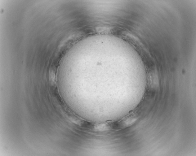 X0000088650705200706152008