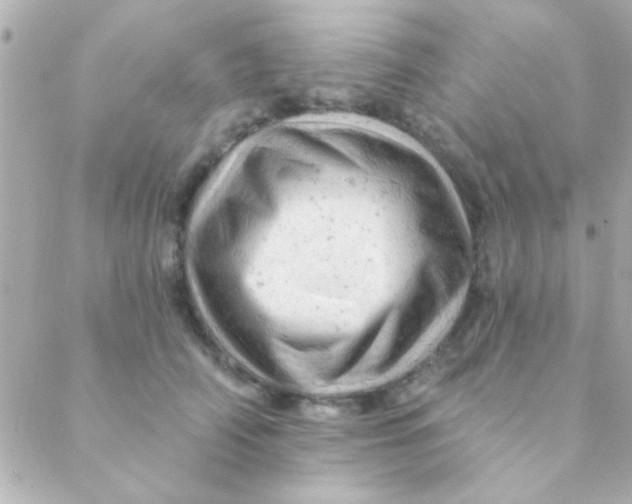 X0000088650706200706152007