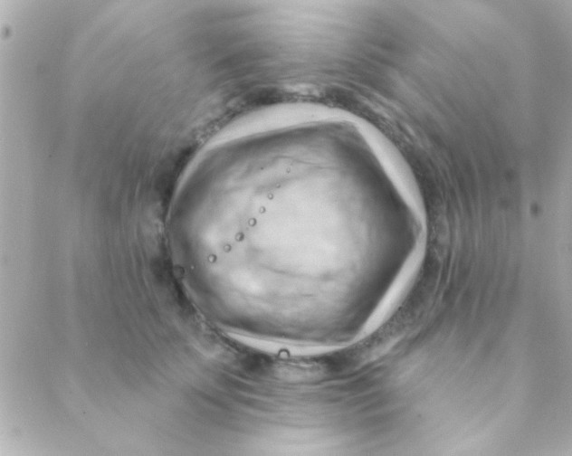 X0000088650707200706152007