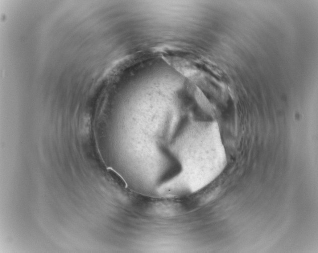 X0000088650708200706152007