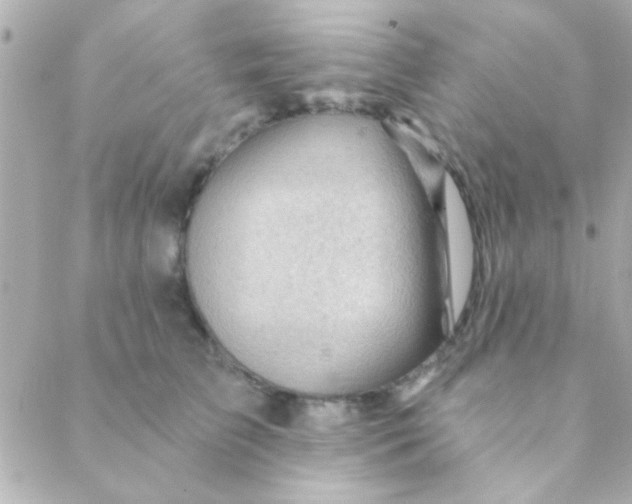 X0000088650709200706152007