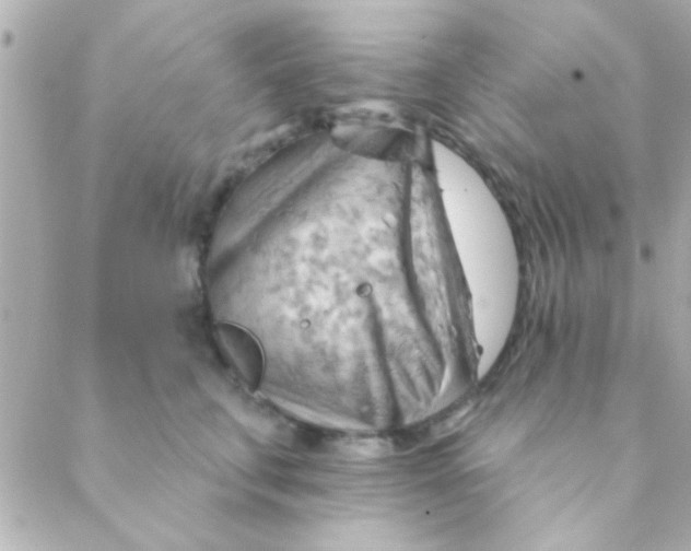 X0000088650711200706152007