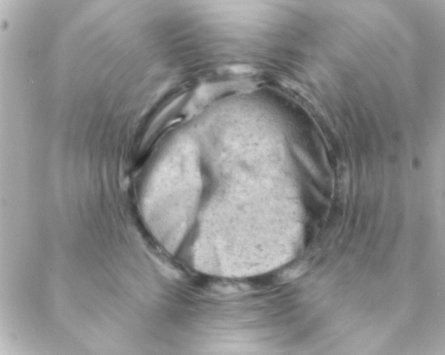 X0000088650712200706152007