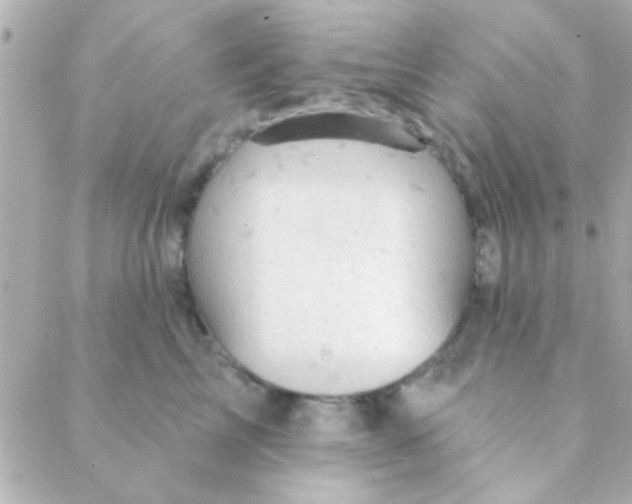 X0000088650713200706152007