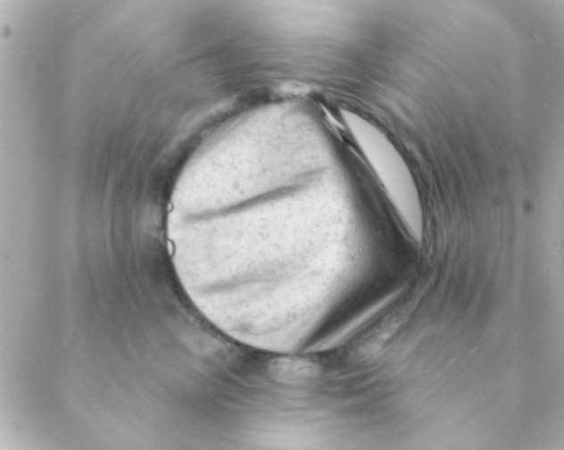 X0000088650714200706152007