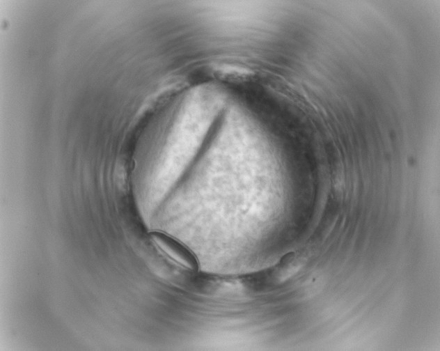 X0000088650715200706152007