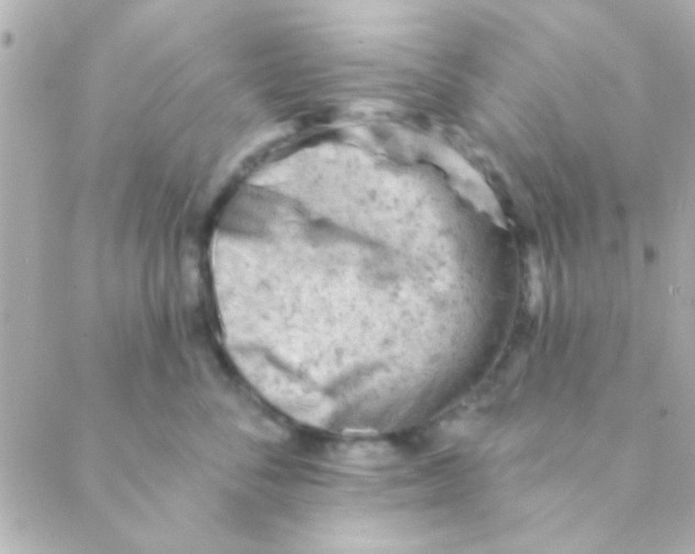 X0000088650716200706152007