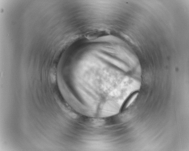 X0000088650719200706152007