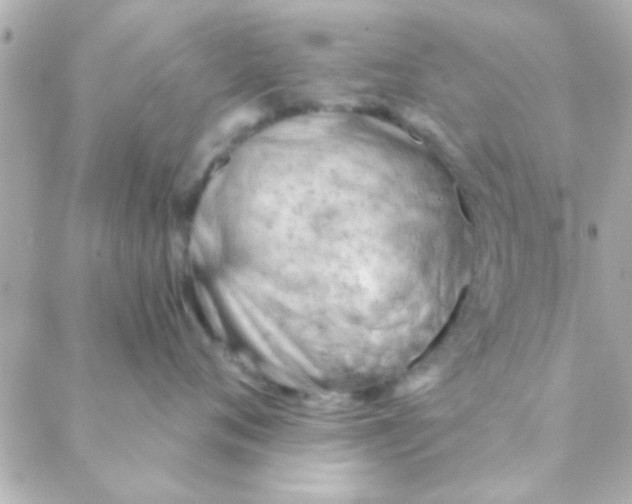 X0000088650720200706152007