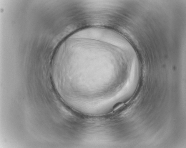 X0000088650721200706152006