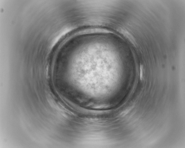 X0000088650723200706152007