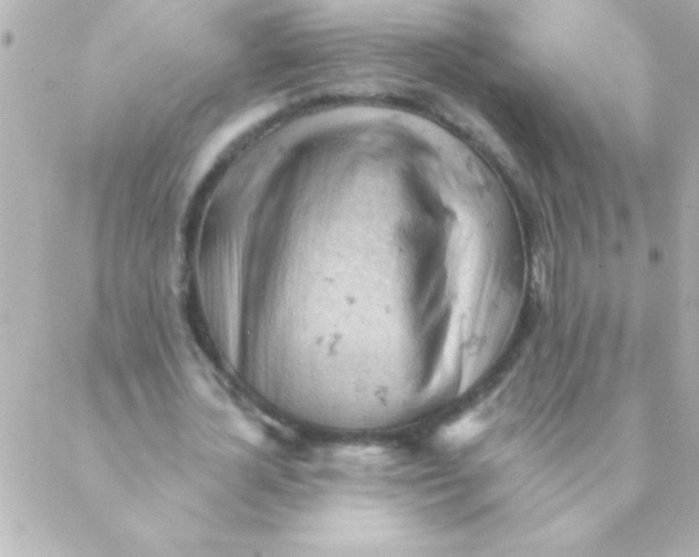 X0000088650724200706152007