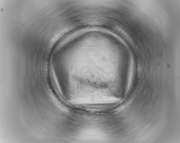 X0000088650725200706152007