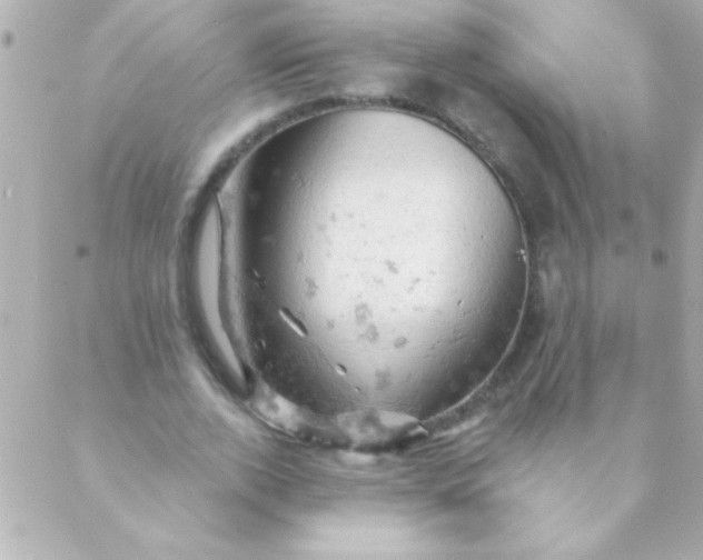 X0000088650728200706152007