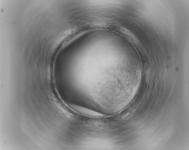 X0000088650729200706152007