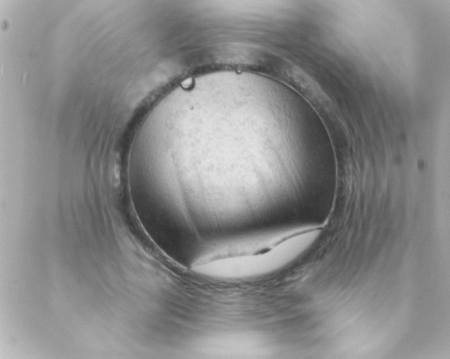 X0000088650731200706152007