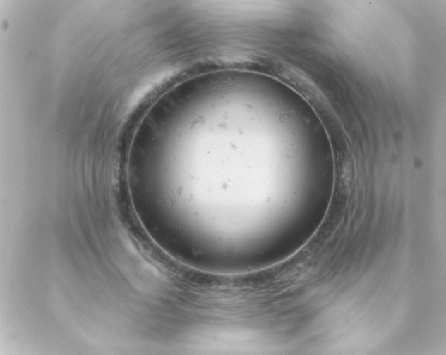 X0000088650732200706152007