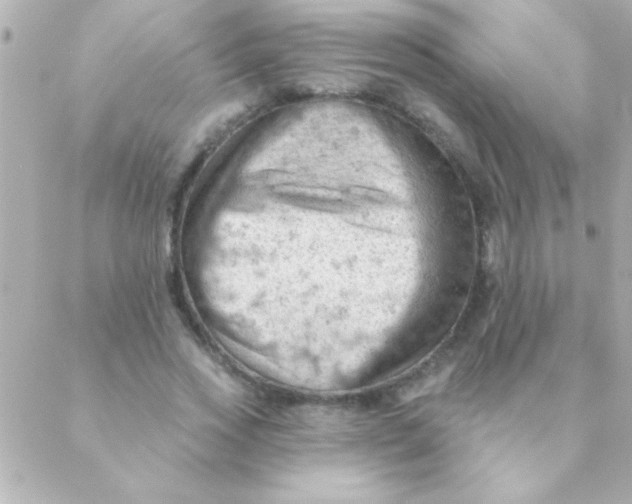 X0000088650733200706152007