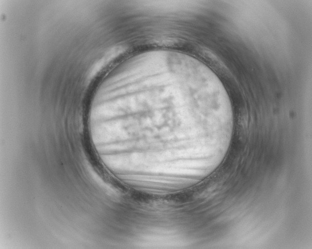 X0000088650734200706152007