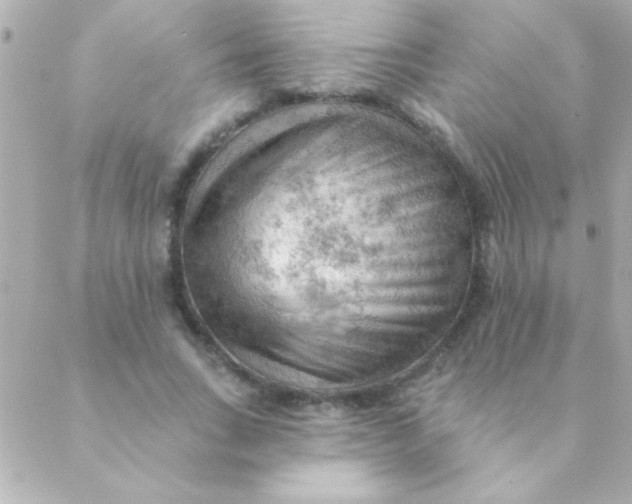 X0000088650735200706152007