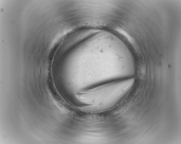 X0000088650736200706152007