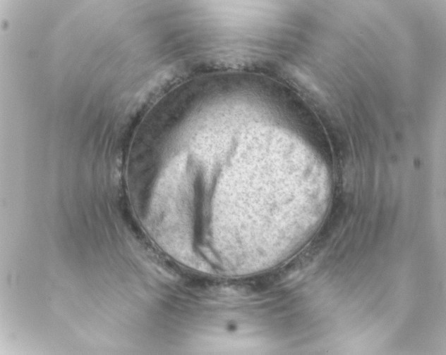 X0000088650737200706152007