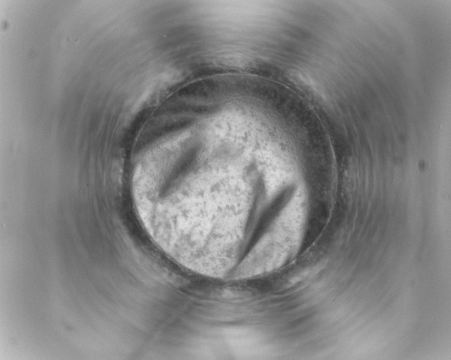 X0000088650739200706152007