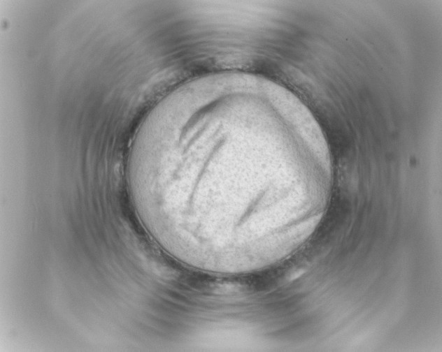 X0000088650741200706152007