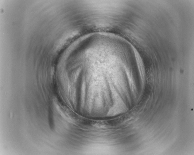 X0000088650742200706152007