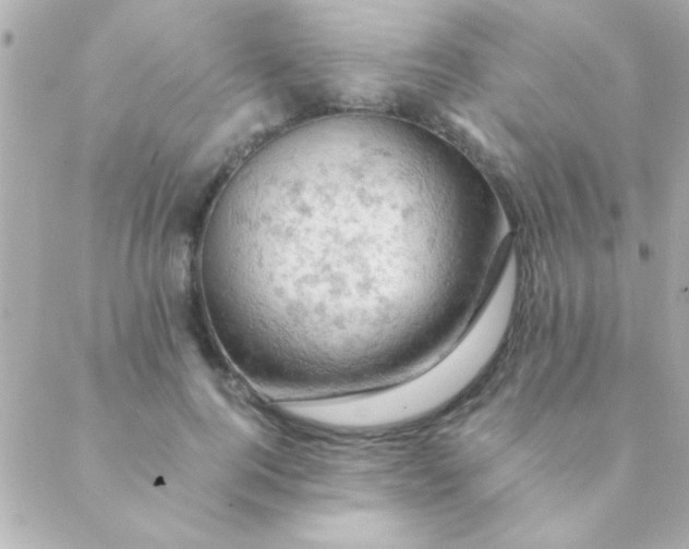 X0000088650744200706152007