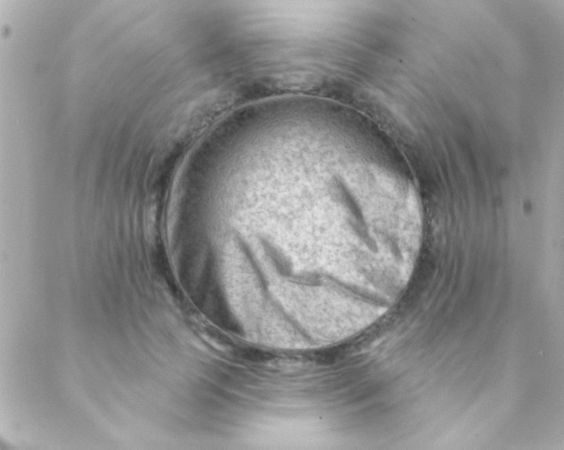 X0000088650745200706152007