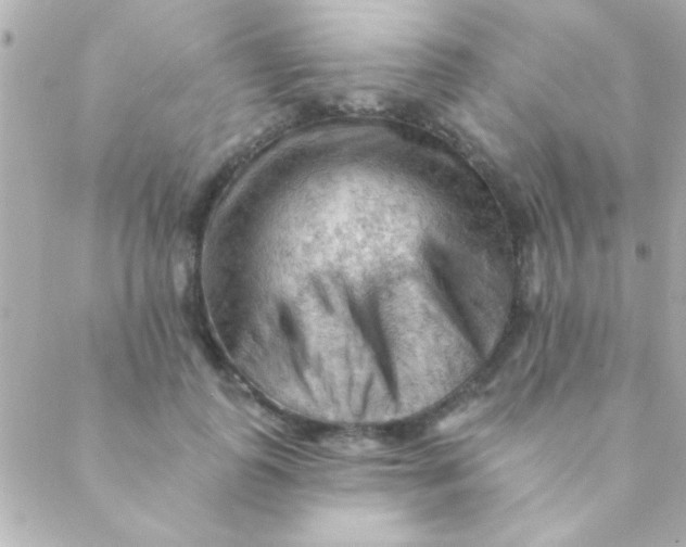 X0000088650747200706152007