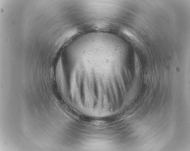 X0000088650748200706152007