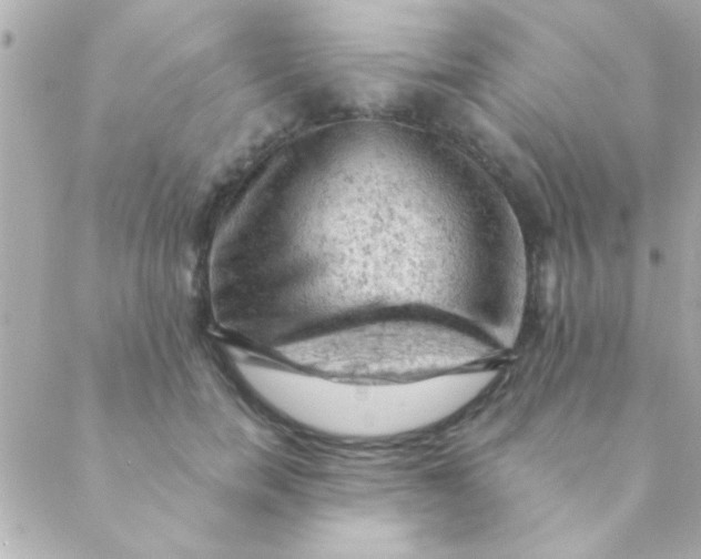 X0000088650750200706152007