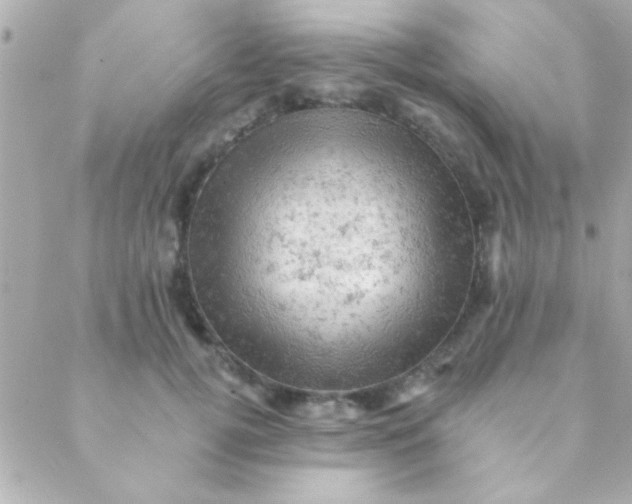 X0000088650752200706152007