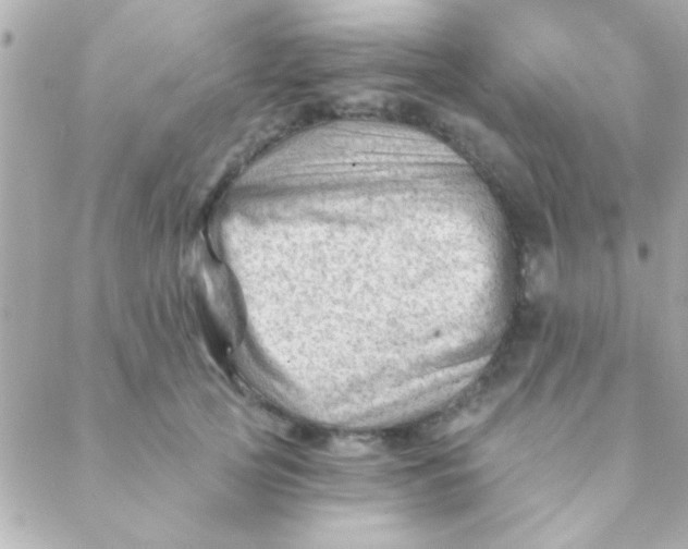 X0000088650753200706152007