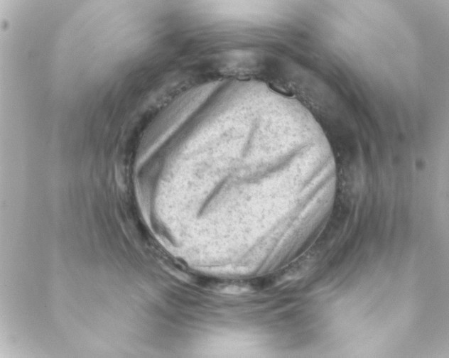 X0000088650755200706152007