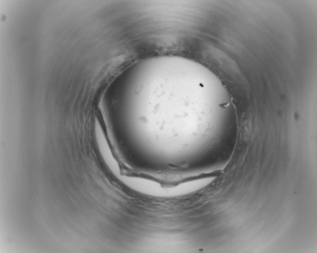 X0000088650756200706152007