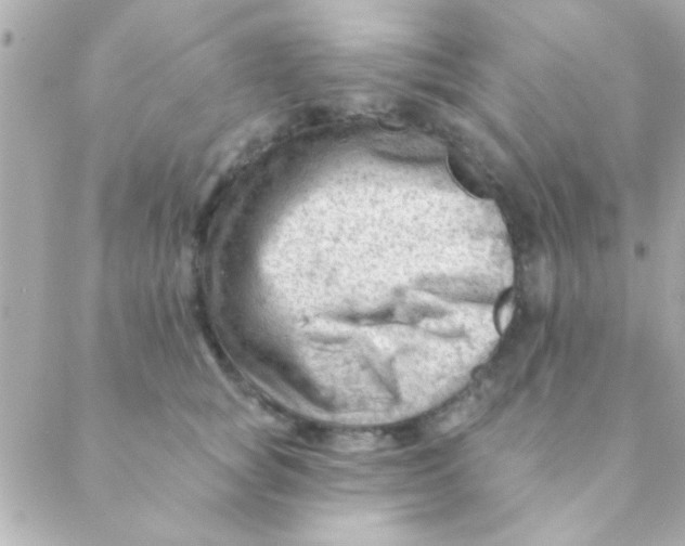 X0000088650757200706152007