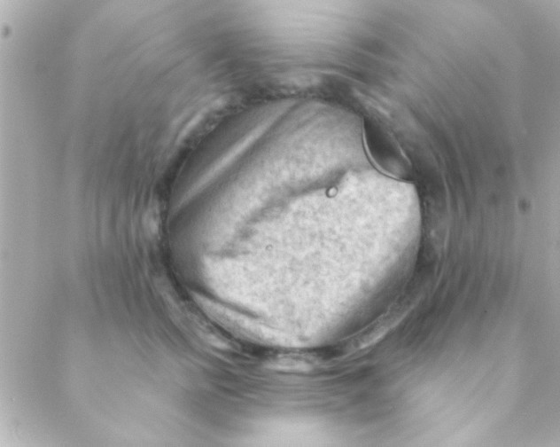 X0000088650758200706152007