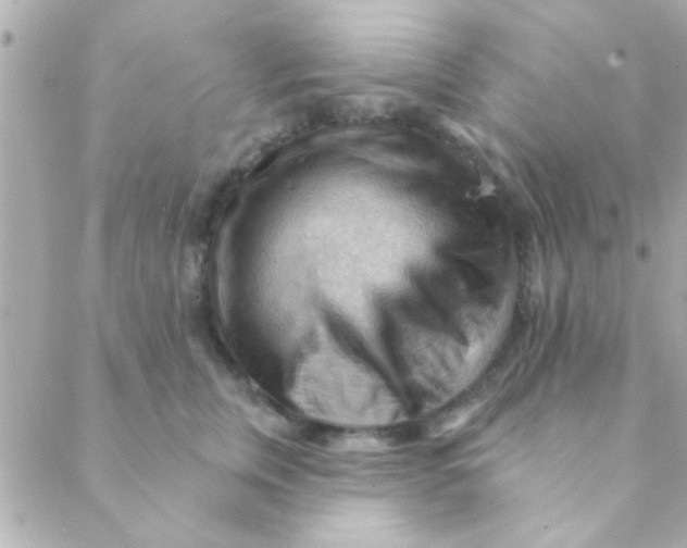 X0000088650759200706152007