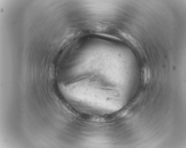 X0000088650760200706152007