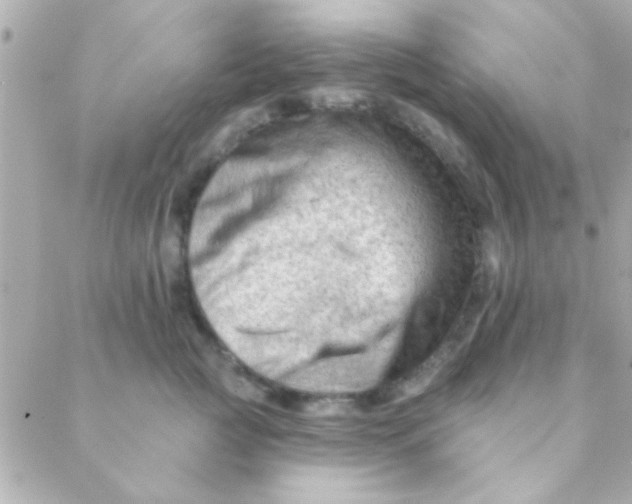 X0000088650761200706152007