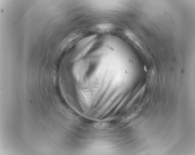 X0000088650762200706152007