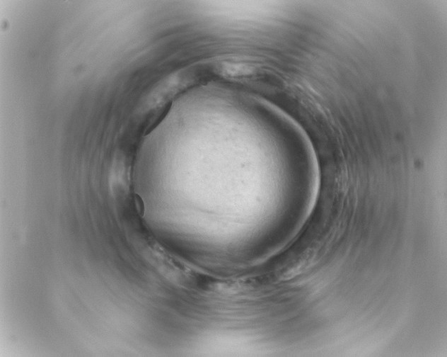 X0000088650763200706152007