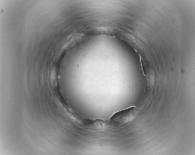 X0000088650764200706152007