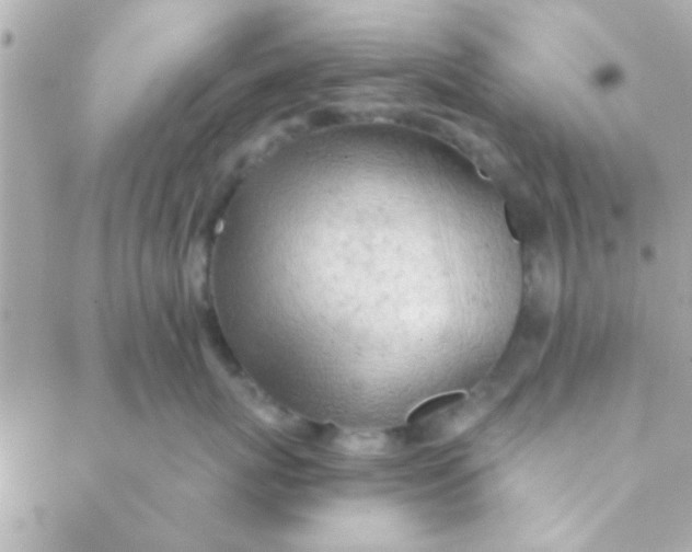 X0000088650767200706152007